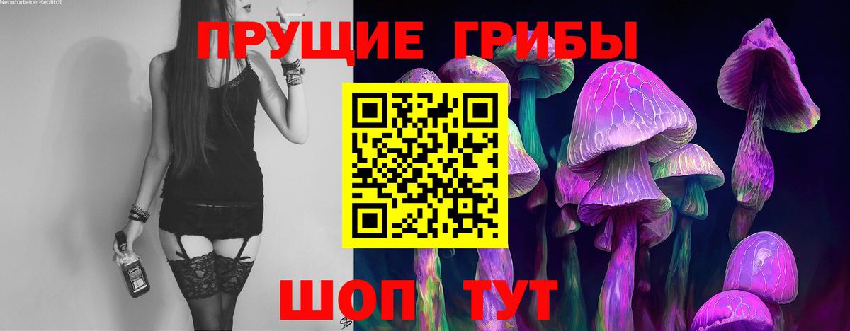 Топки  Псилоцибиновые грибы ЛСД  как найти   Галлюциногенные грибы Psilocybe  Вход с VPN 